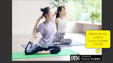 ProMovie截图1