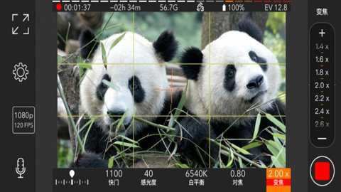 ProMovie截图4