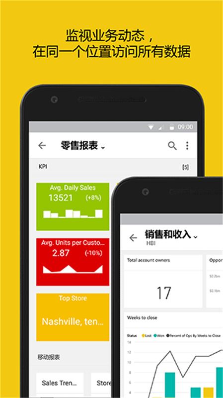PowerBI截图2