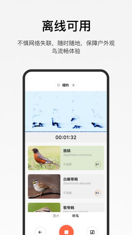 懂鸟截图4