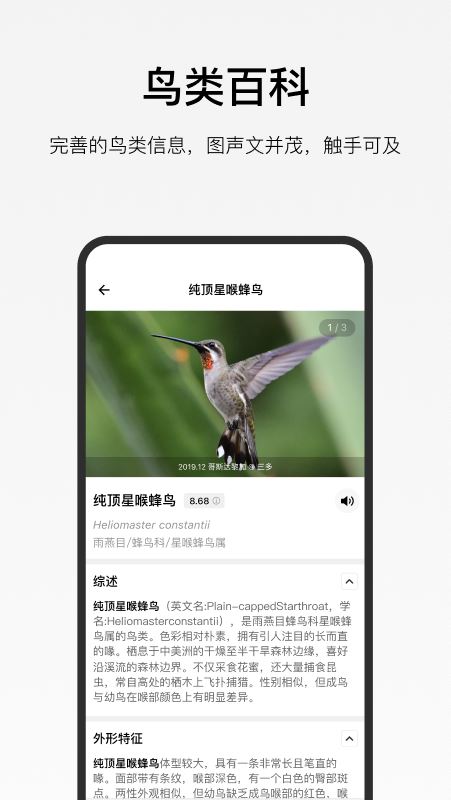 懂鸟截图5