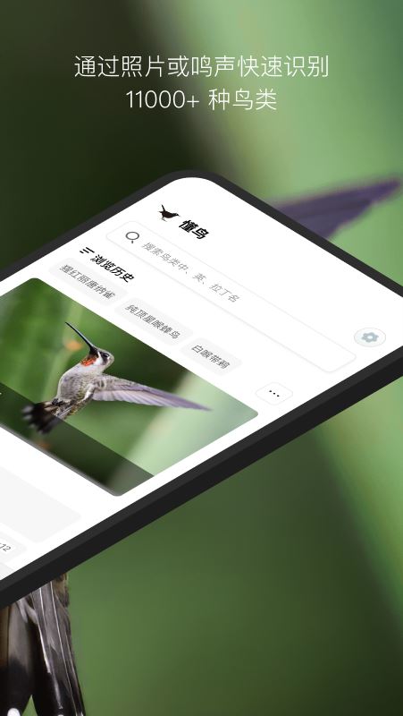 懂鸟截图2