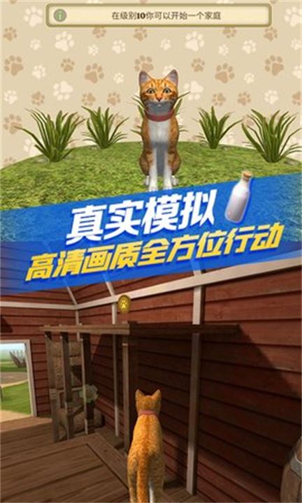 猫咪生存模拟器截图2