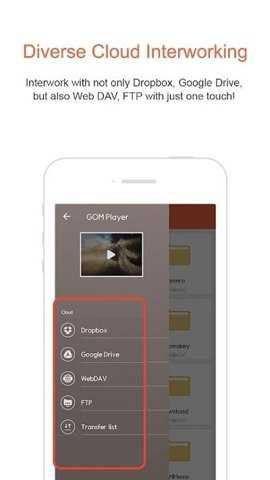 gomplayer截图4