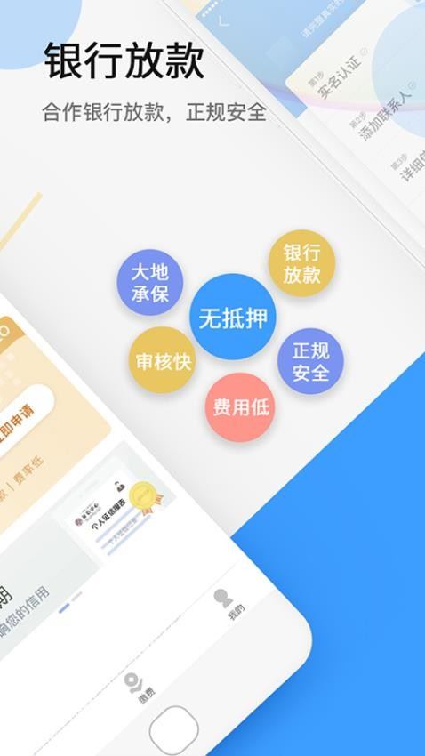 大地时贷险截图2
