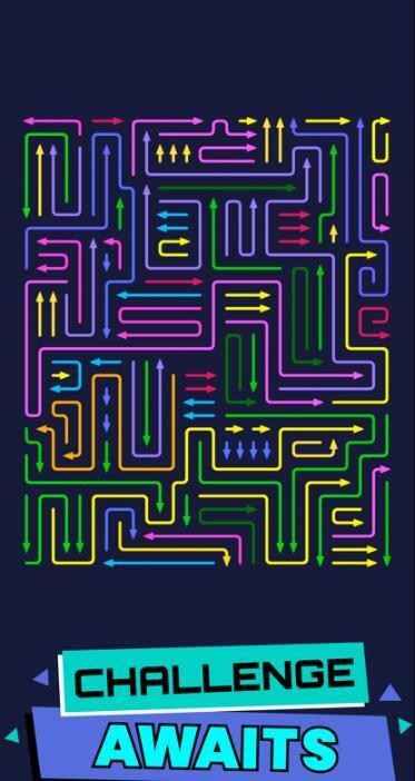 箭头迷宫(Arrow Maze)截图2