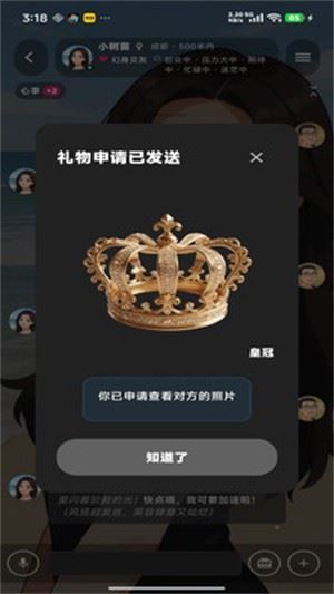 幻聊截图3