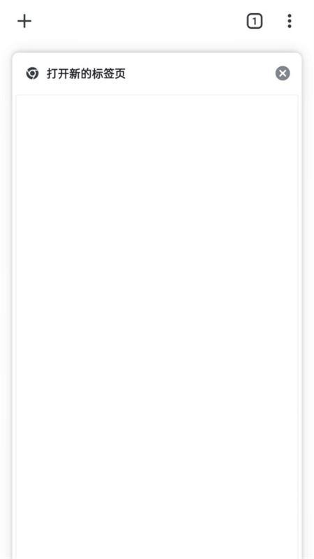 Google浏览器截图2