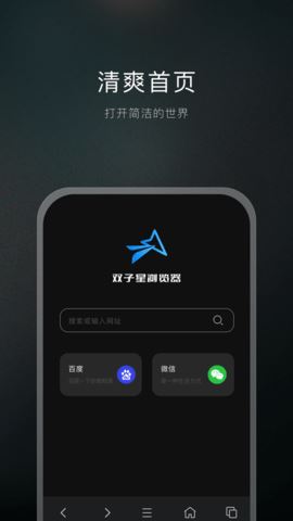 双子星浏览器截图1