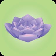 电子盆栽(Viridi)