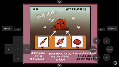 家养宠物(Home-Grown Pet)截图4