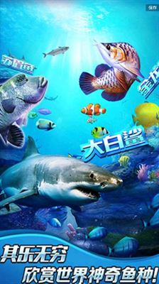 全民钓鱼2截图3