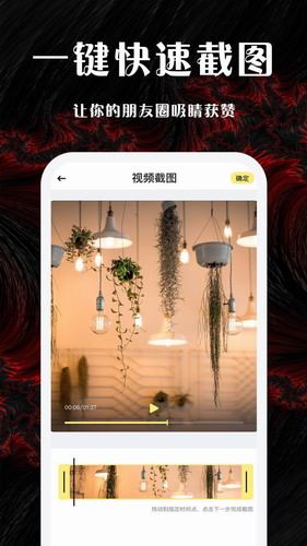梅花视频截图4
