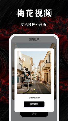 梅花视频截图1