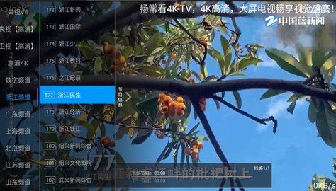 畅播TV截图2