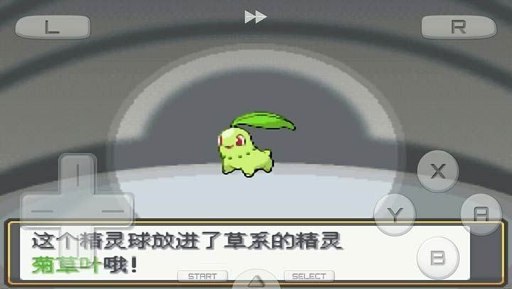 口袋妖怪心金魂银 (Pokémon HeartGold & SoulSilver)截图4