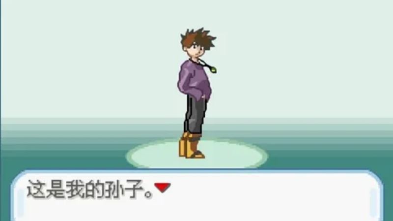口袋妖怪圣灰(Pokemon Fire Ash)截图1