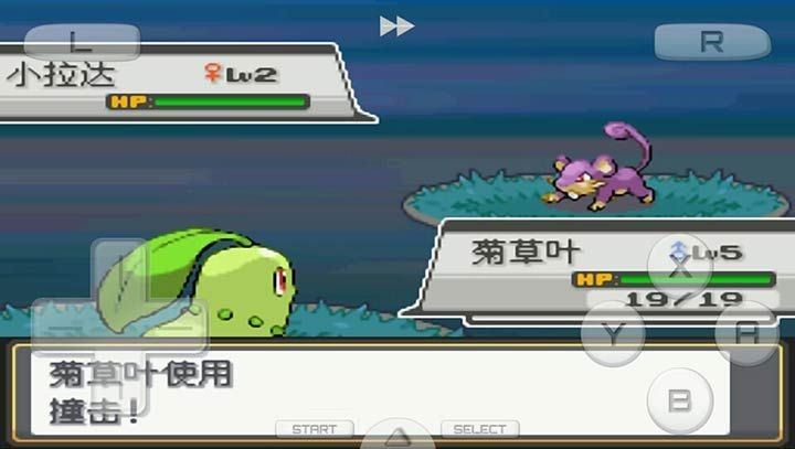 口袋妖怪心金魂银 (Pokémon HeartGold & SoulSilver)截图2