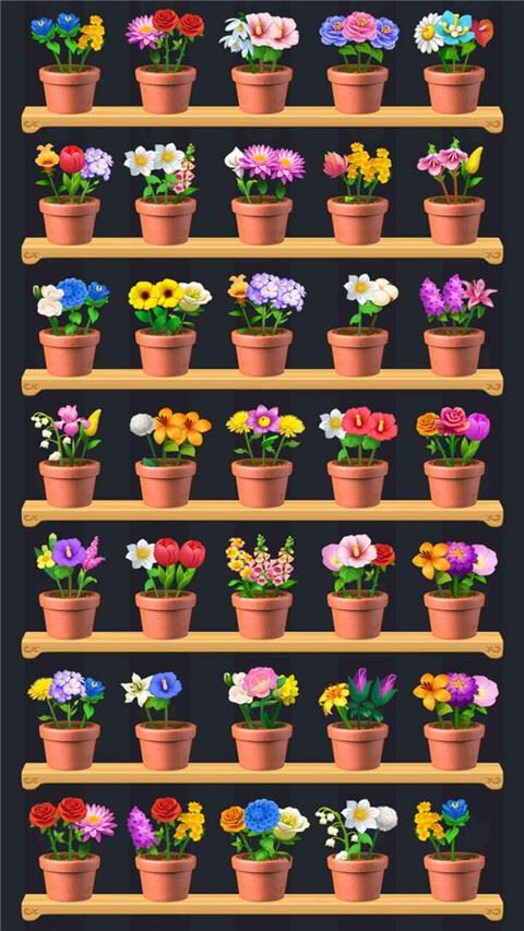 插花小屋截图1