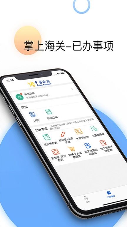 掌上海关截图4