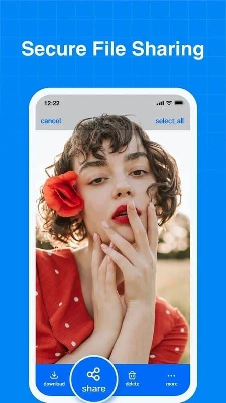 TeraBox截图4