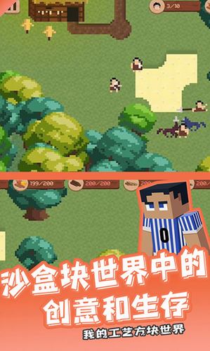 我的工艺方块世界截图3