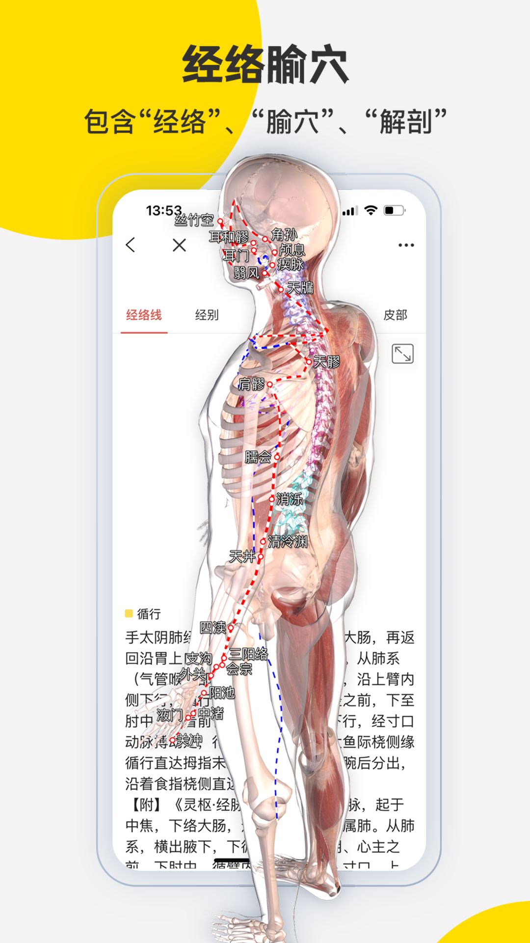 3Dbody解剖截图4