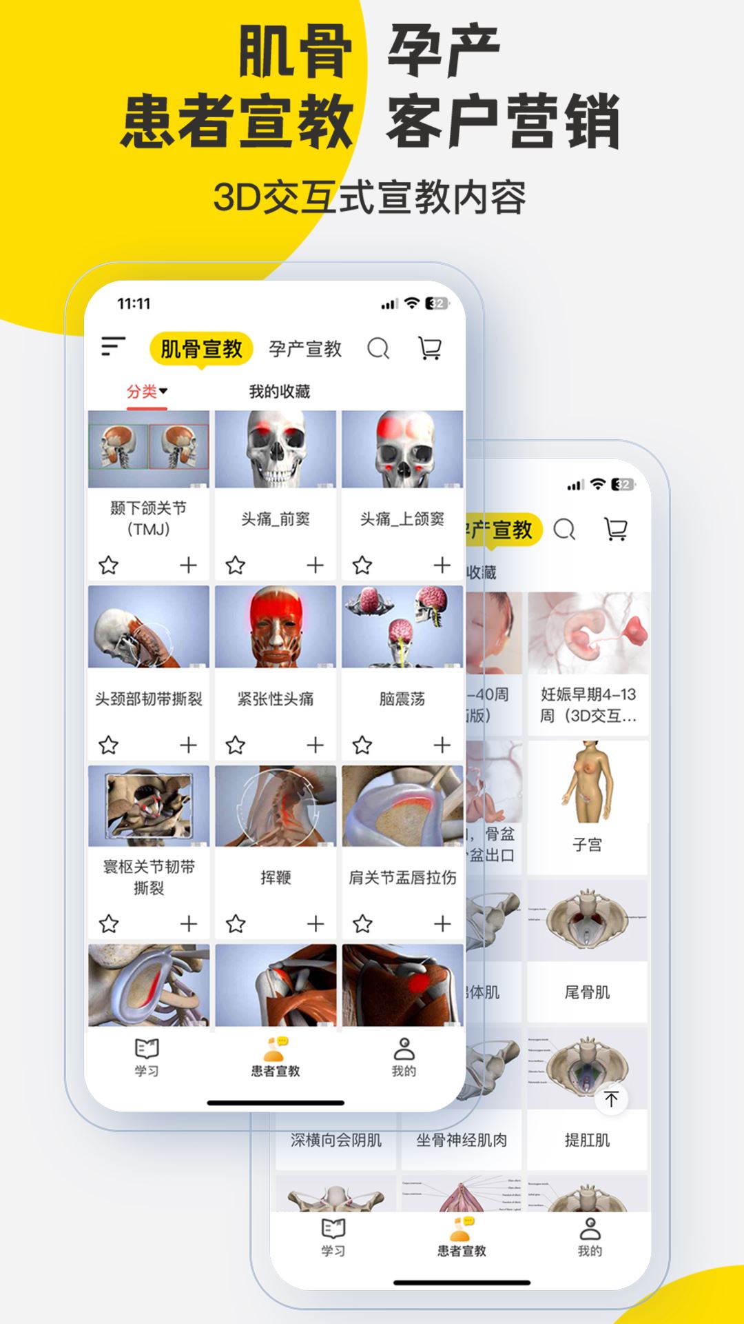 3Dbody解剖截图2
