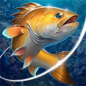 钓鱼胡克(Fishing Hook)