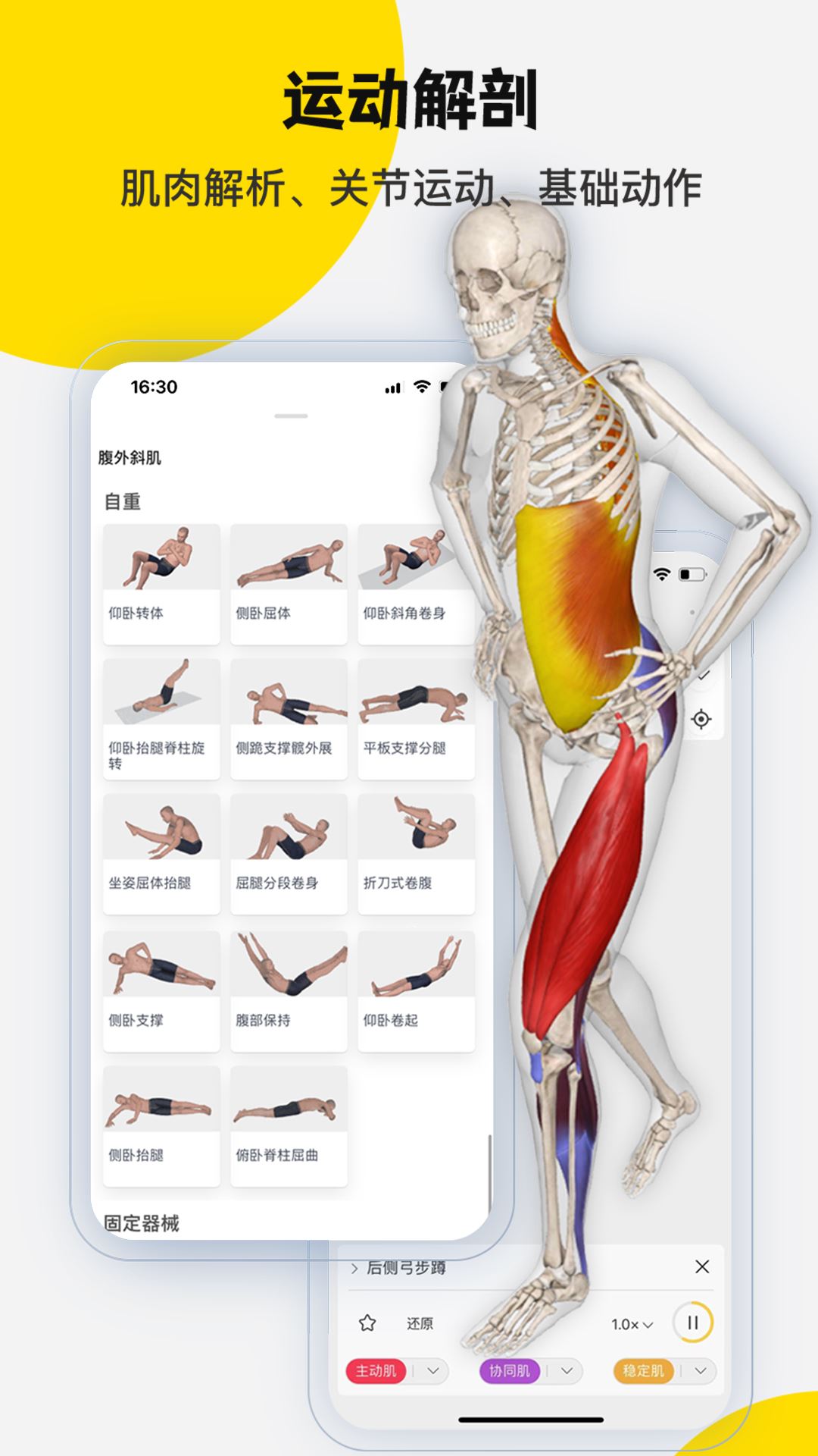 3Dbody解剖截图1