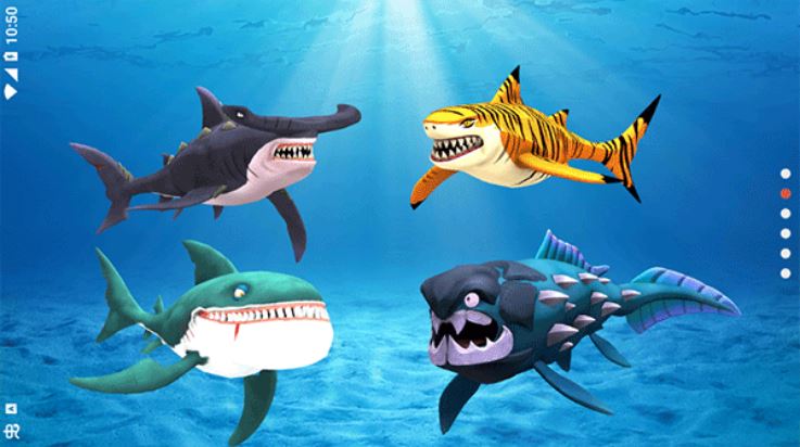 我的鲨鱼秀（My Shark Show）截图1