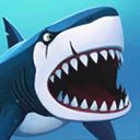 我的鲨鱼秀(My Shark Show)