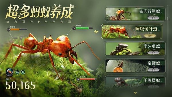 蚂蚁地下王国截图2