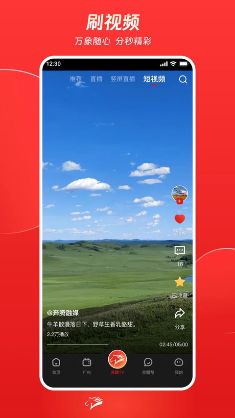 奔腾融媒截图4
