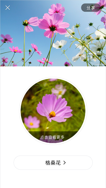 识花大师截图1
