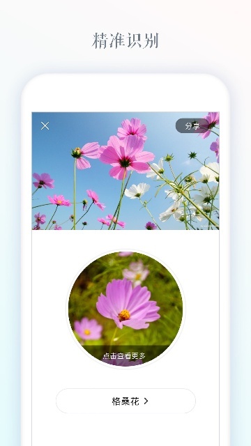 识花大师截图4