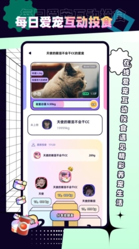Petpet截图4