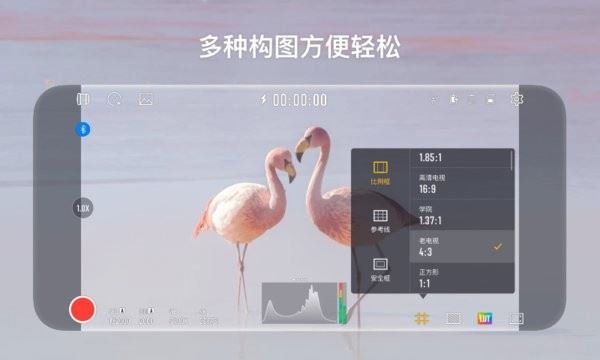 StaCam截图4