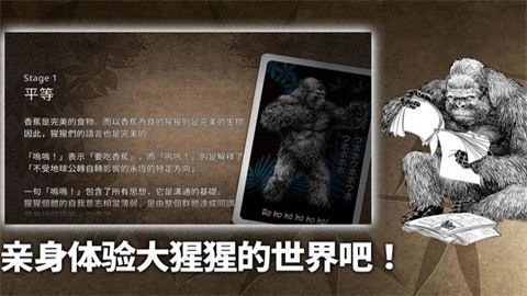 大猩猩接龙截图2
