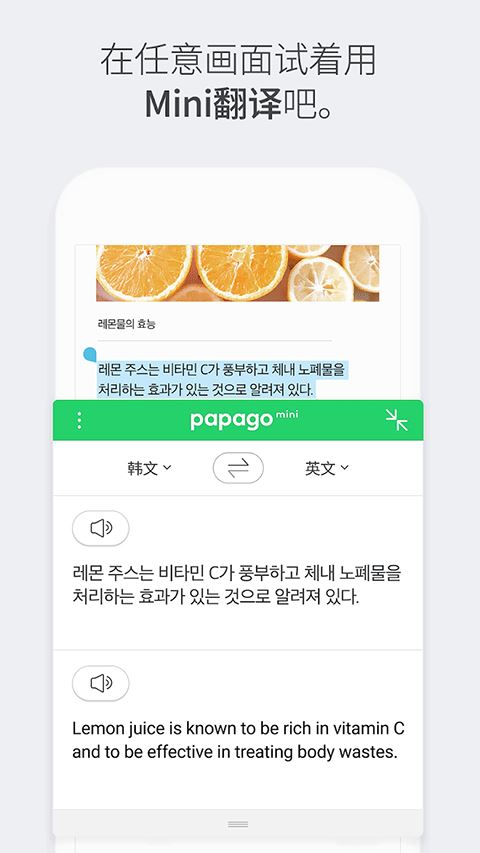 papago截图1