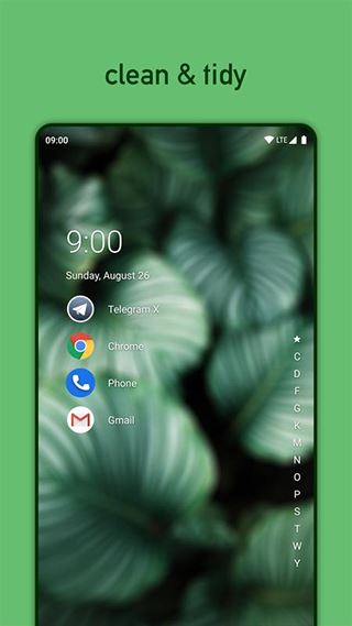 Niagara Launcher截图2