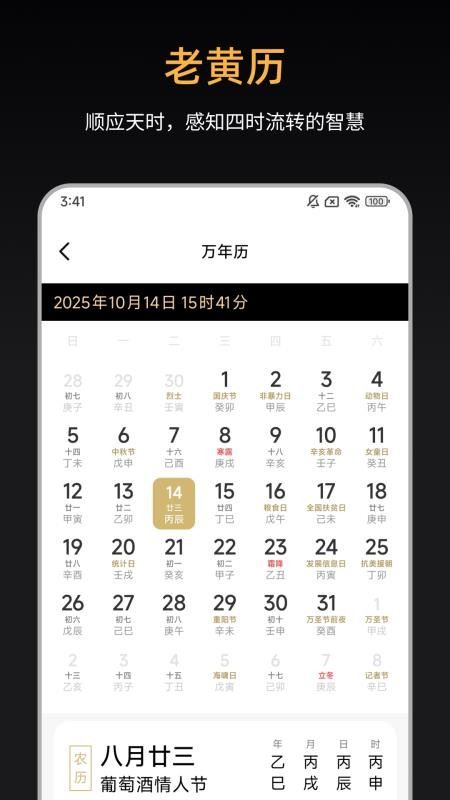 诸葛八字排盘截图4