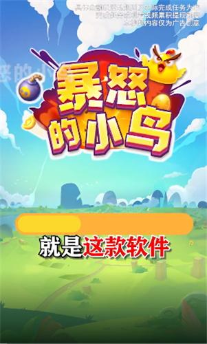 暴怒的小鸟截图3