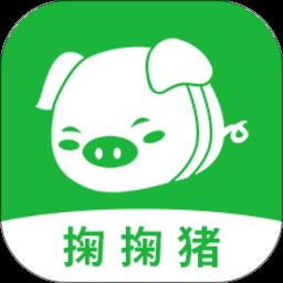 掬掬猪