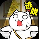 白猫与美术馆