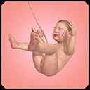 九个月（9 Months）