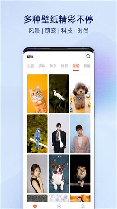 vivo主题商店截图5