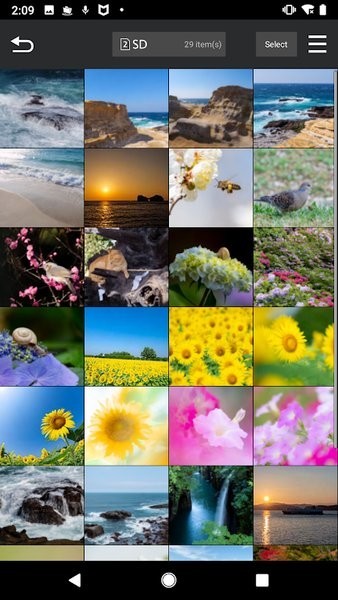 Panasonic Lumix Syn截图2