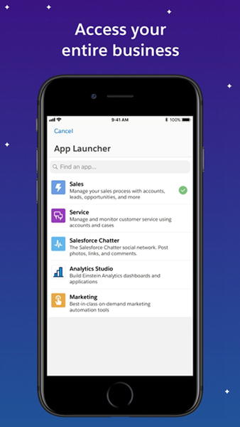 Salesforce截图2