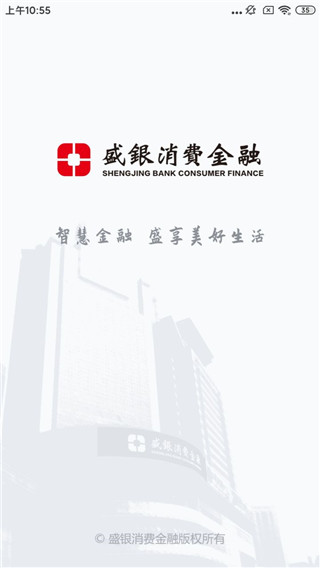 盛银消费金融截图1